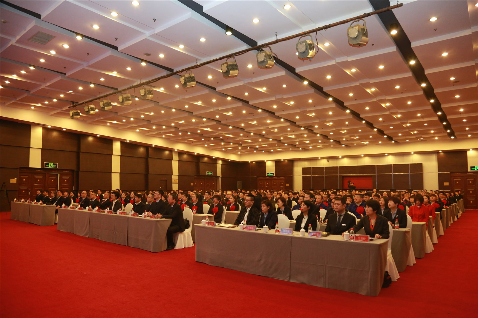 8A2A0359.jpg 8A2A0359.jpg