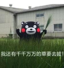 微信图片_20180427090317.jpg 微信图片_20180427090317.jpg